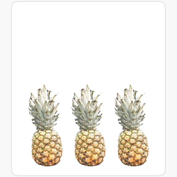 DOPASTICKER Faded Pineapples Sticker Birthday Gifts - Decorative Laptop ...