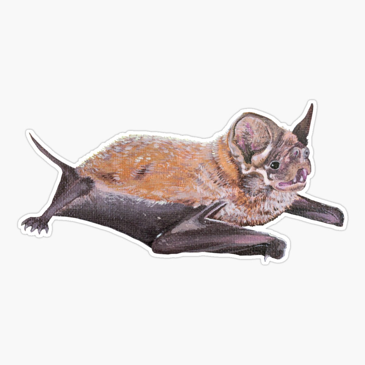 DOPASTICKER Florida Bonneted Bat Sticker, Phone Sticker Water Bottle ...