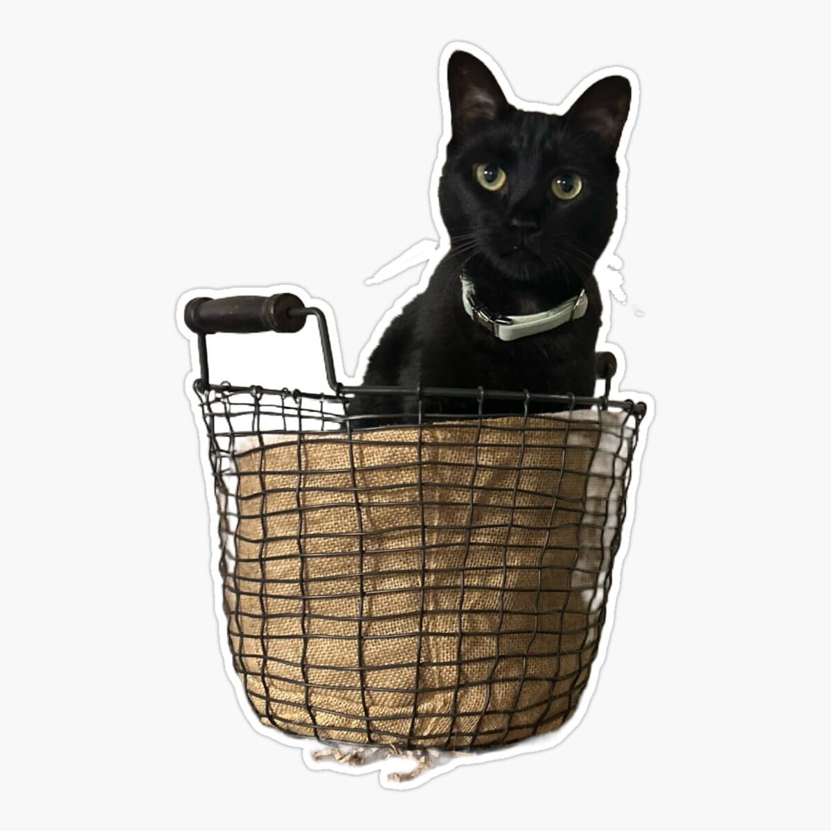 DOPASTICKER Hallie In Her Basket, Black Cat Sticker, Phone Sticker Car ...