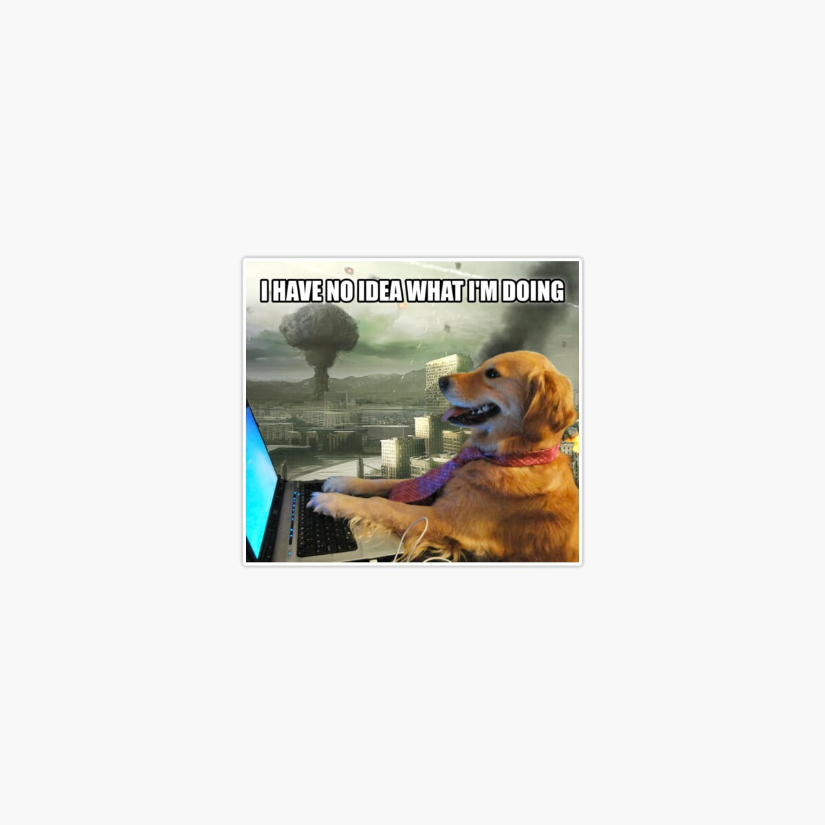 DOPASTICKER Hd I Have No Idea What I'M Doing Computer Dog Pandemic ...