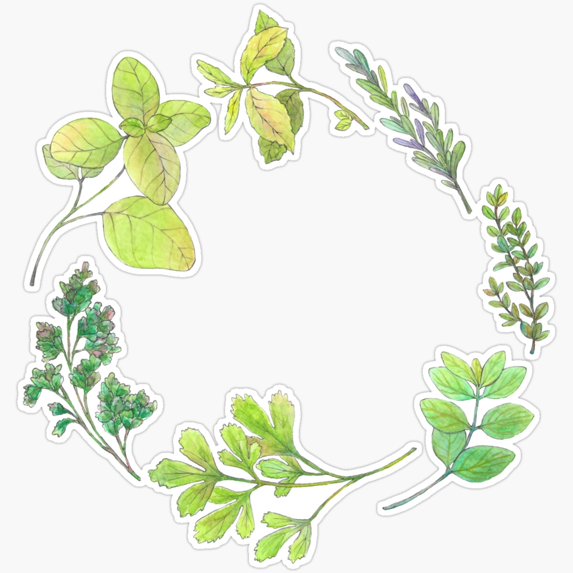 DOPASTICKER Herb Garden Sticker Decorative Laptop, Phone Stickers ...
