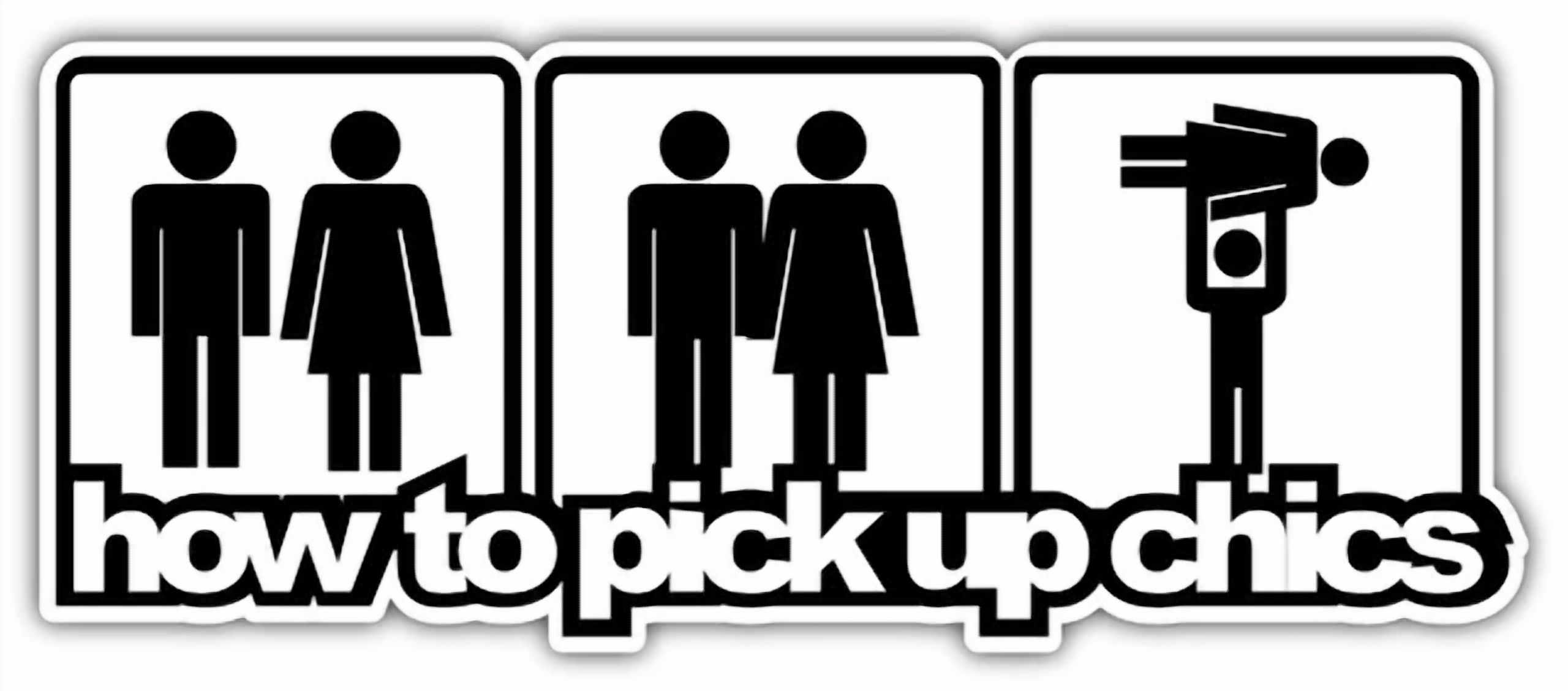 DOPASTICKER How To Pick Up Chicks Sticker Decal Phone Decal Water ...