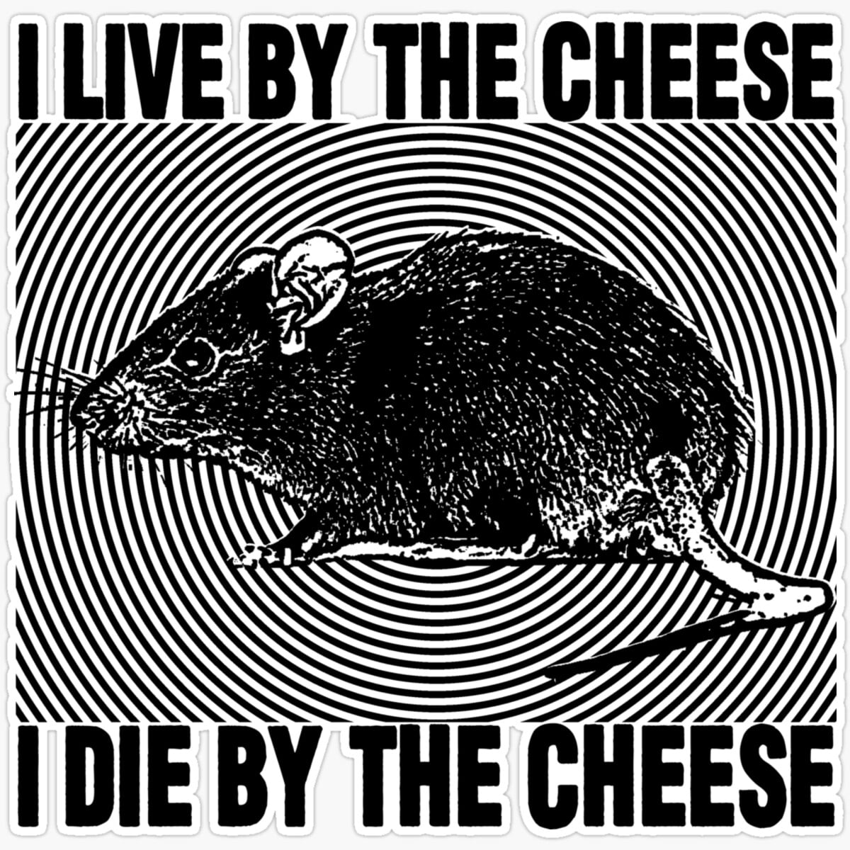DOPASTICKER I Live By The Cheese Rat Sticker Decorative Laptop, Phone ...