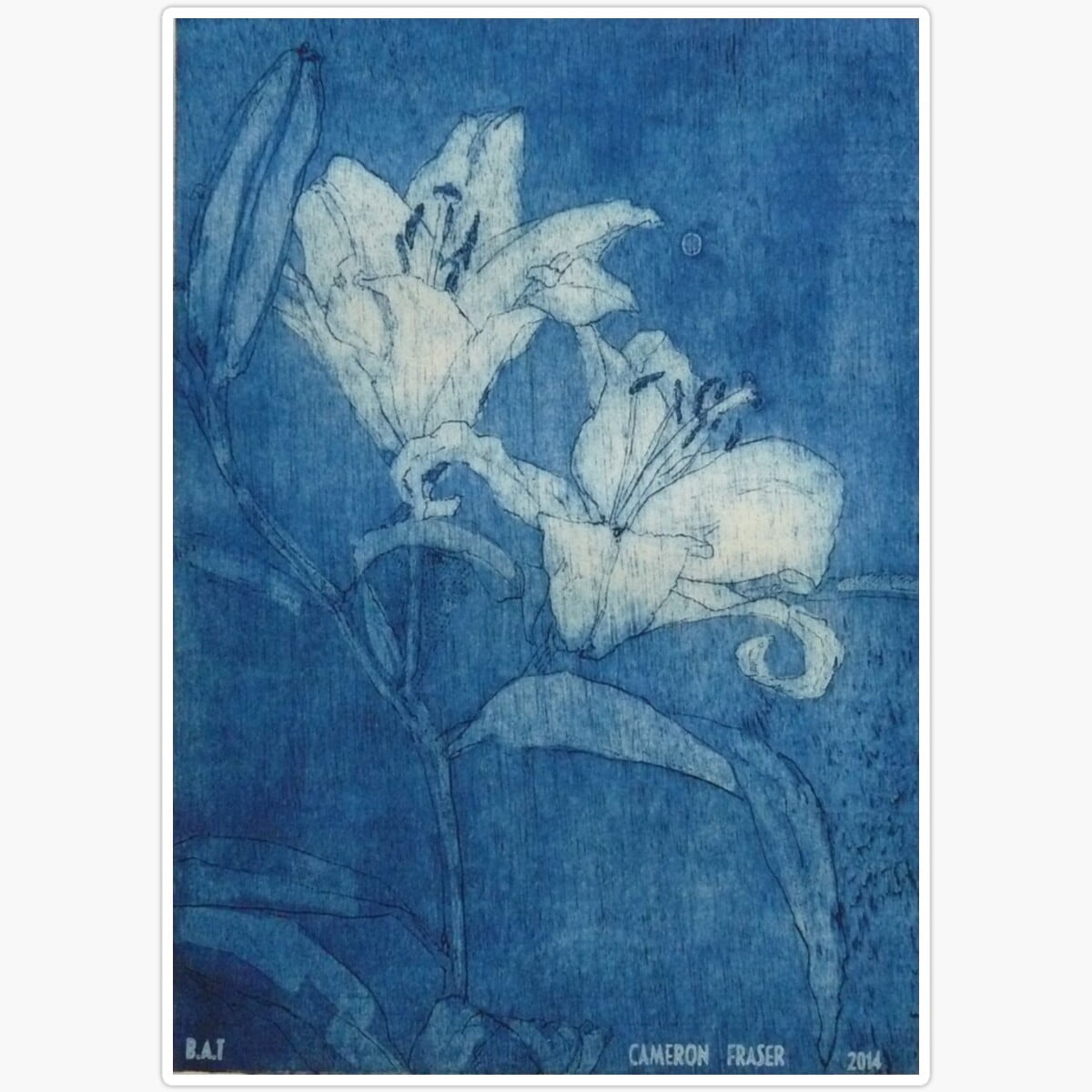 DOPASTICKER Informal Iris Cameron Fraser Sticker Decorative Laptop ...