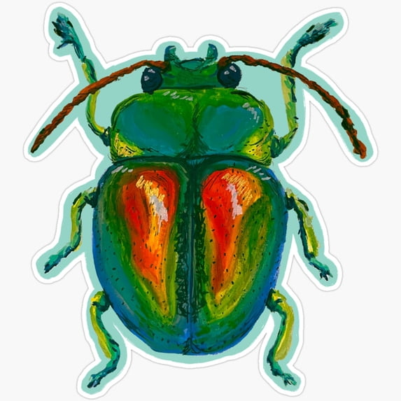 DOPASTICKER Irridesent Beetle Sticker Decorative Laptop, Phone Stickers ...