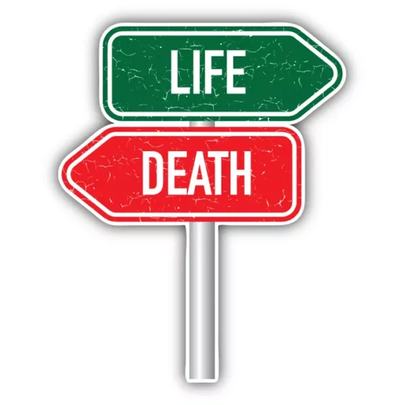 DOPASTICKER Life Death Way Sticker Decal Phone Decal Water Bottle ...