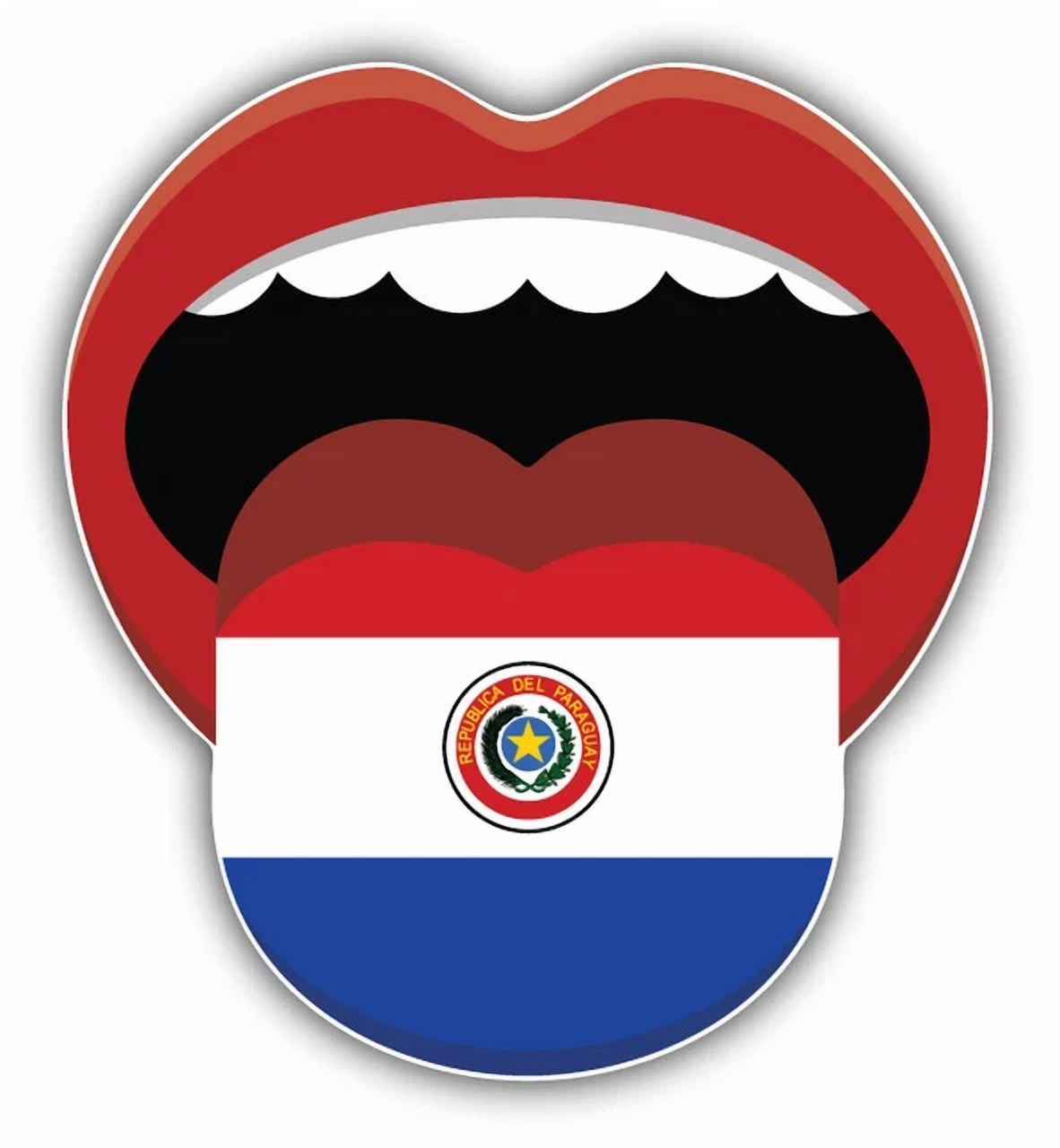 DOPASTICKER Paraguay Flag Mouth Sticker Decal Phone Decal Water Bottle ...