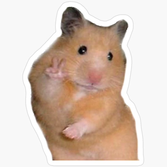 DOPASTICKER Peace Hamster Sticker. Gift You - Decorate Laptops, Water ... - Peaceful Hamster Gift Ideas