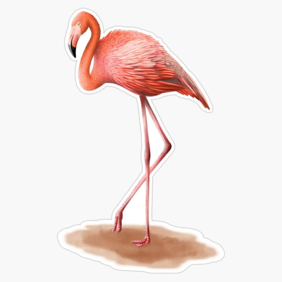 DOPASTICKER Pink Flamingo Sticker, Phone Sticker Car Stickers, Birthday ...