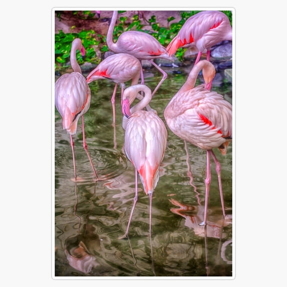 DOPASTICKER Pink Flamingos Sticker, Phone Sticker Car Stickers ...