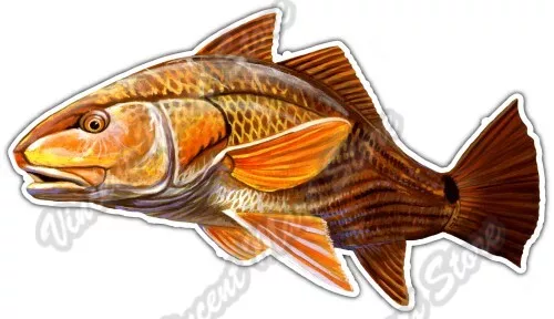 DOPASTICKER Redfish Fish Fishing Wildlife Ocean Sea Car Sticker Decal ...