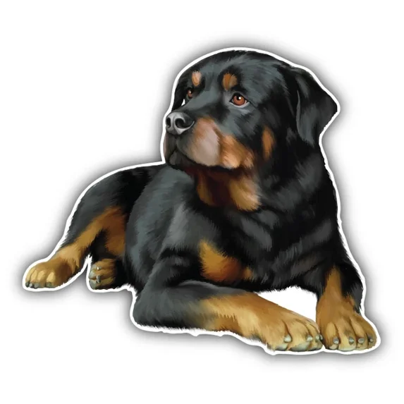 JR Studio Dachshund "Do Not Step On Guard Dog" Bumper Sticker - 3x5 Inch Waterproof Vinyl Decal