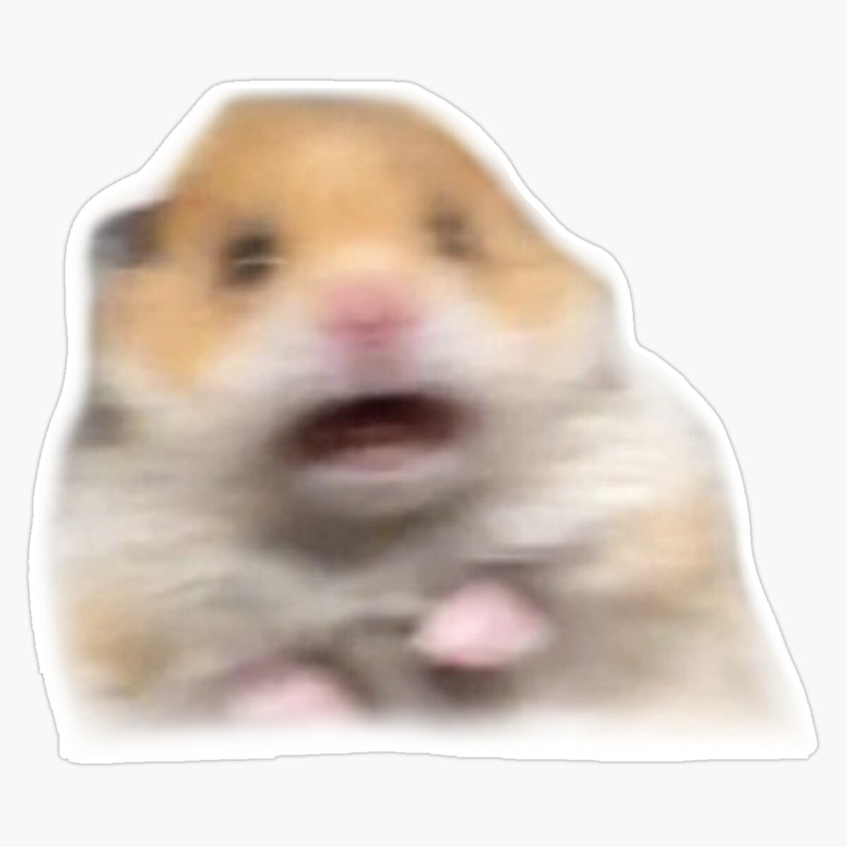 Scaed Sticker DOPASTICKER Scared Hamster Sticker, Phone Sticker Car Stickers ...