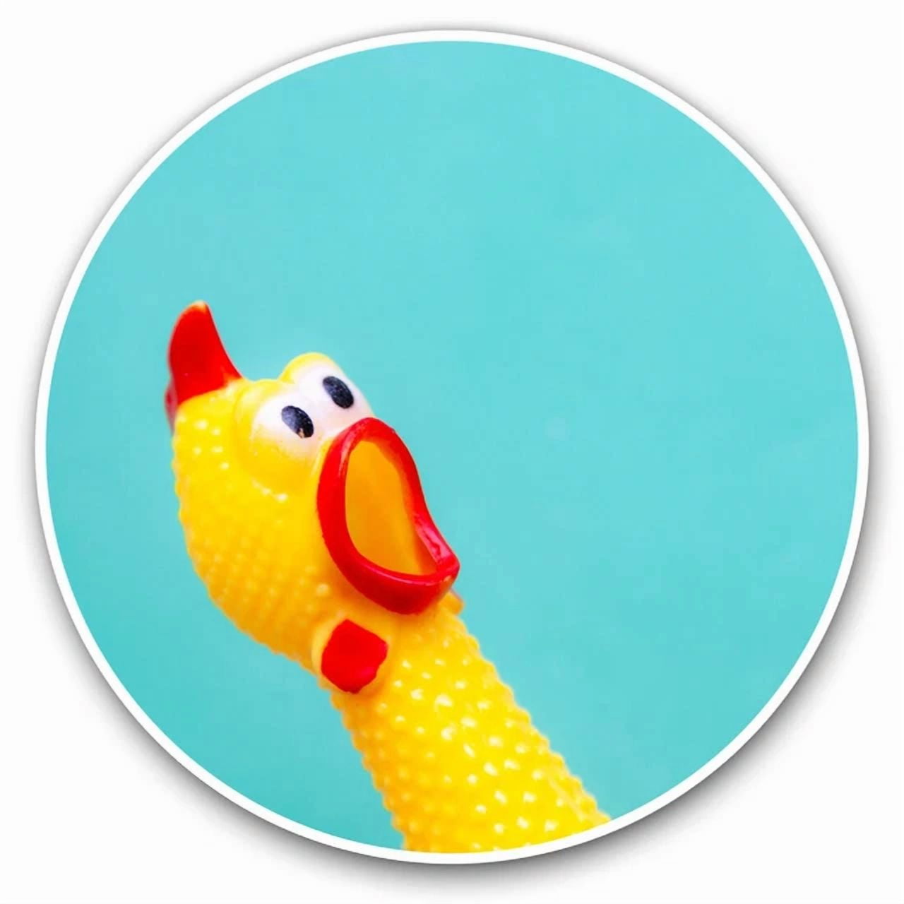 DOPASTICKER Squeaky Chicken Face Cool Gift Decorative Laptop, Phone ...