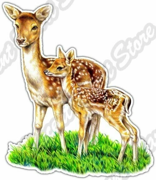 DOPASTICKER Young Deer Woods Wildlife Animal Car Window Sticker Decal ...