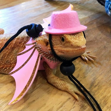 DOPI 1 Set Bearded Dragon Harness with Hat Adjustable Traction Tool Bearded Dragon Leash Costume Set Small Animal Clothes