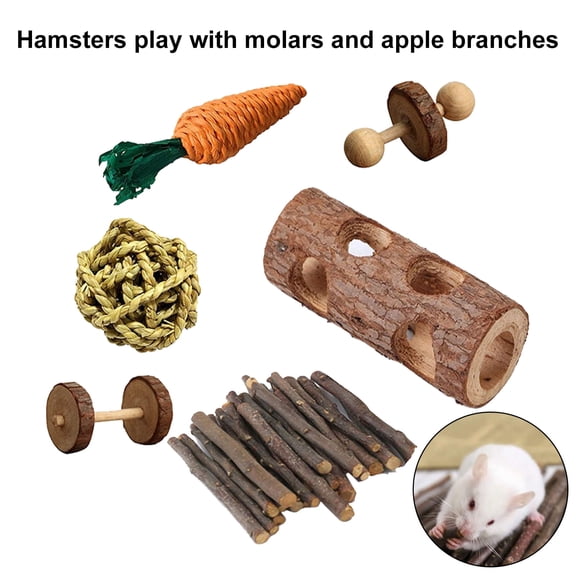 DOPI 6Pcs/Set Molar Supplies Set Eye-catching Orange Carrot Design Wood Straw Ball Hamster Chew Toy for Squirrels