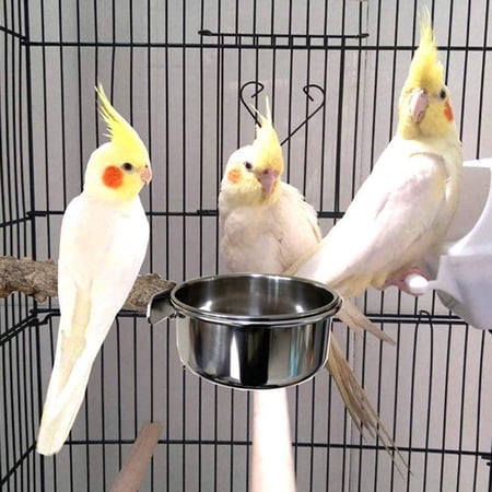 DOPI Bird Stand Stick with Stainless Steel Cup Bite Resistant Natural Wood Pet Parrot Perch Stand Bird Supplies