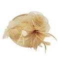 thumbnail image 1 of DOPI Hats for Women Winter Warm Hats Fashion Women Fascinator Mesh Hat Ribbons And Feathers Wedding Party Hat, 1 of 2