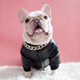 thumbnail image 1 of DOPI Pet Coat Zipper Design Windproof Fashion Dog Faux Leather Jacket Coat for French Bulldog, 1 of 8
