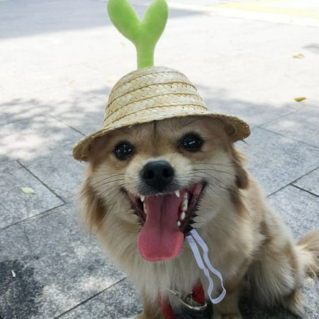 DOPI Pet Hat Lovely Sprout Design Straw Idyllic Sun Protection Sunhat Cap for Dog