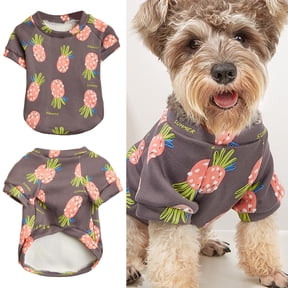DOPI Pet Sweater Fruit Print Keep Warm Fashion Cat Dog Winter Two-legged Clothing for Outing