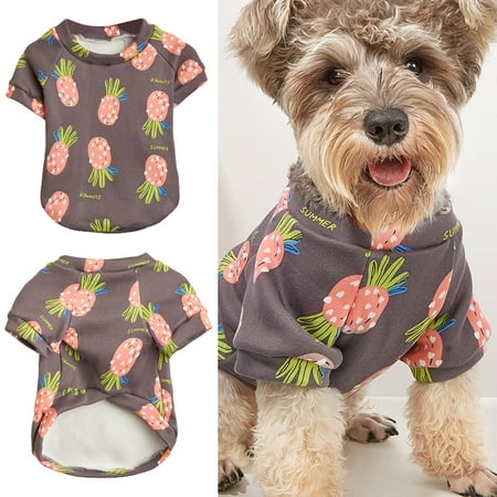 DOPI Pet Sweater Fruit Print Keep Warm Fashion Cat Dog Winter Two-legged Clothing for Outing