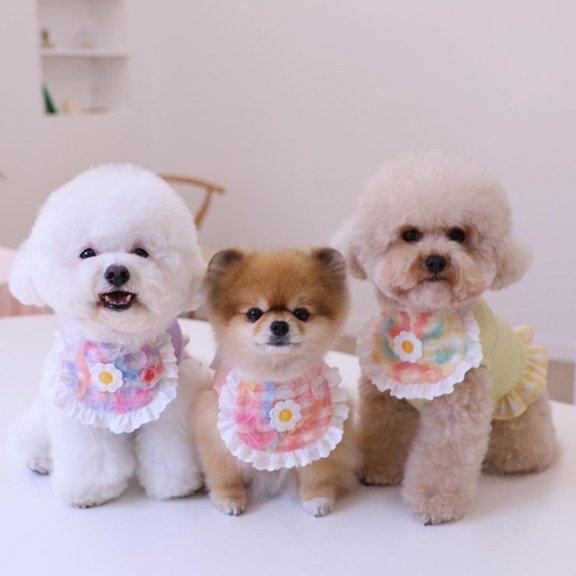 DOPI Puppy Bib Lace Flower Design All-matched Cute Cat Dog Collar Saliva Towel for Small Dog