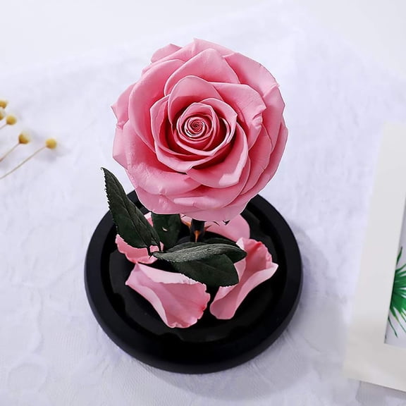 DOTKV Pink Rose Flower Real Rose Eternal Preserved Fresh Rose Flower in Dome Glass Best Gift for Valentine's Day Birthday Mother's Day Christmas Day Anniversay 1PCS (Pink) A101