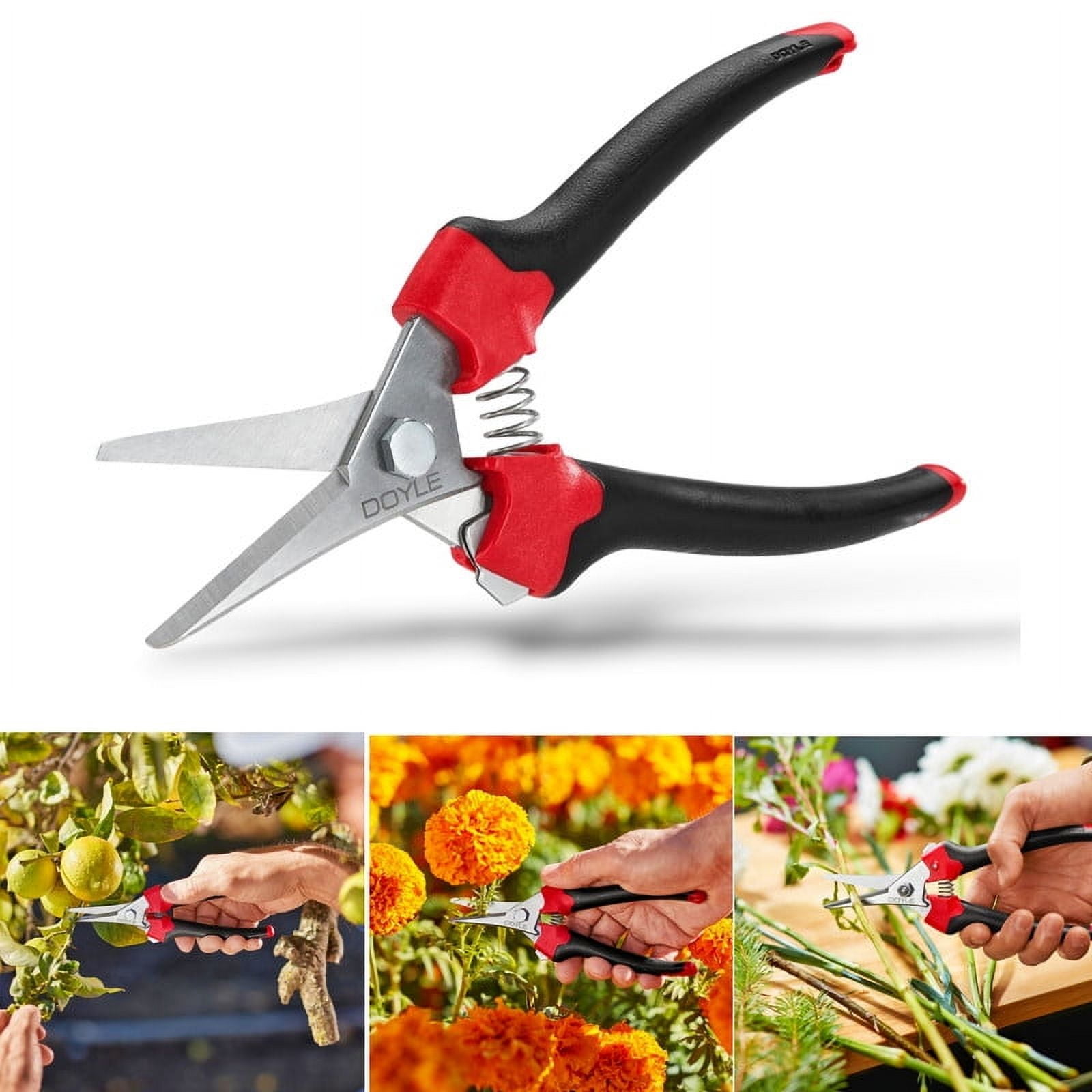 Sprout Clipper DOYLE 7-1/2 in. Micro-Tip Pruner, Pruning Snip, Leaf Trimmer, Scissor ...
