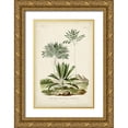 thumbnail image 1 of DOrbigny, M. Charles 11x14 Gold Ornate Wood Framed with Double Matting Museum Art Print Titled - Antique Palm Collection VIII, 1 of 4