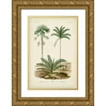 thumbnail image 1 of DOrbigny, M. Charles 13x18 Gold Ornate Wood Framed with Double Matting Museum Art Print Titled - Antique Palm Collection V, 1 of 4
