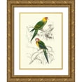 thumbnail image 1 of DOrbigny, M.Charles 25x32 Gold Ornate Wood Framed with Double Matting Museum Art Print Titled - Birds of Costa Rica IV, 1 of 4