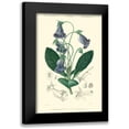 thumbnail image 1 of DOrbigny, N.Charles 11x14 Black Modern Framed Museum Art Print Titled - Embellished Floral Botanique I, 1 of 5