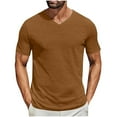 thumbnail image 1 of DPTALR Men's Breathable V-Neck Tee Soft Lightweight Summer Essential,Brown,XL, 1 of 6