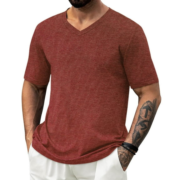 DPTALR George Men's Short Sleeve Classic V-Neck T-Shirts,Casual Summer Basic Tees,Wine,Big and Tall Men XXL