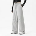 thumbnail image 1 of DPTALR George Women's Waterproof Hiking Pants,Drawstring Wide Leg Parachute Pants,Y2k Elastic Waist Baggy Casual,Gray,Size L, 1 of 8