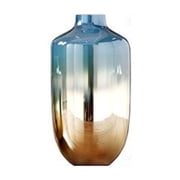 DQQ153 Strongwell Creative Flower Arrangement Glass Vase Hydroponics Living Room Display Vases Minimalist Gradient Crafts