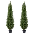 thumbnail image 1 of DR.Planzen 2 Pack 6ft Artificial Cedar Tree with Real Wood Trunk, Faux Silk Plant UV Resistant for Indoor Outdoor, Lifelike Fake Potted Tree for Home Office Decor, 1 of 8