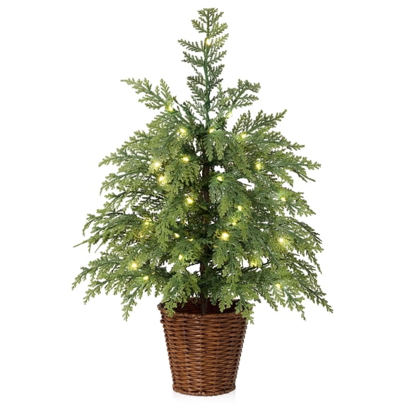 DR.Planzen 24" Pre-Lit Green Cypress Artificial Christmas Tree with 30 Warm White LED Lights, Mini Tabletop Xmas Tree in Woven Basket Base, Indoor Holiday Decoration