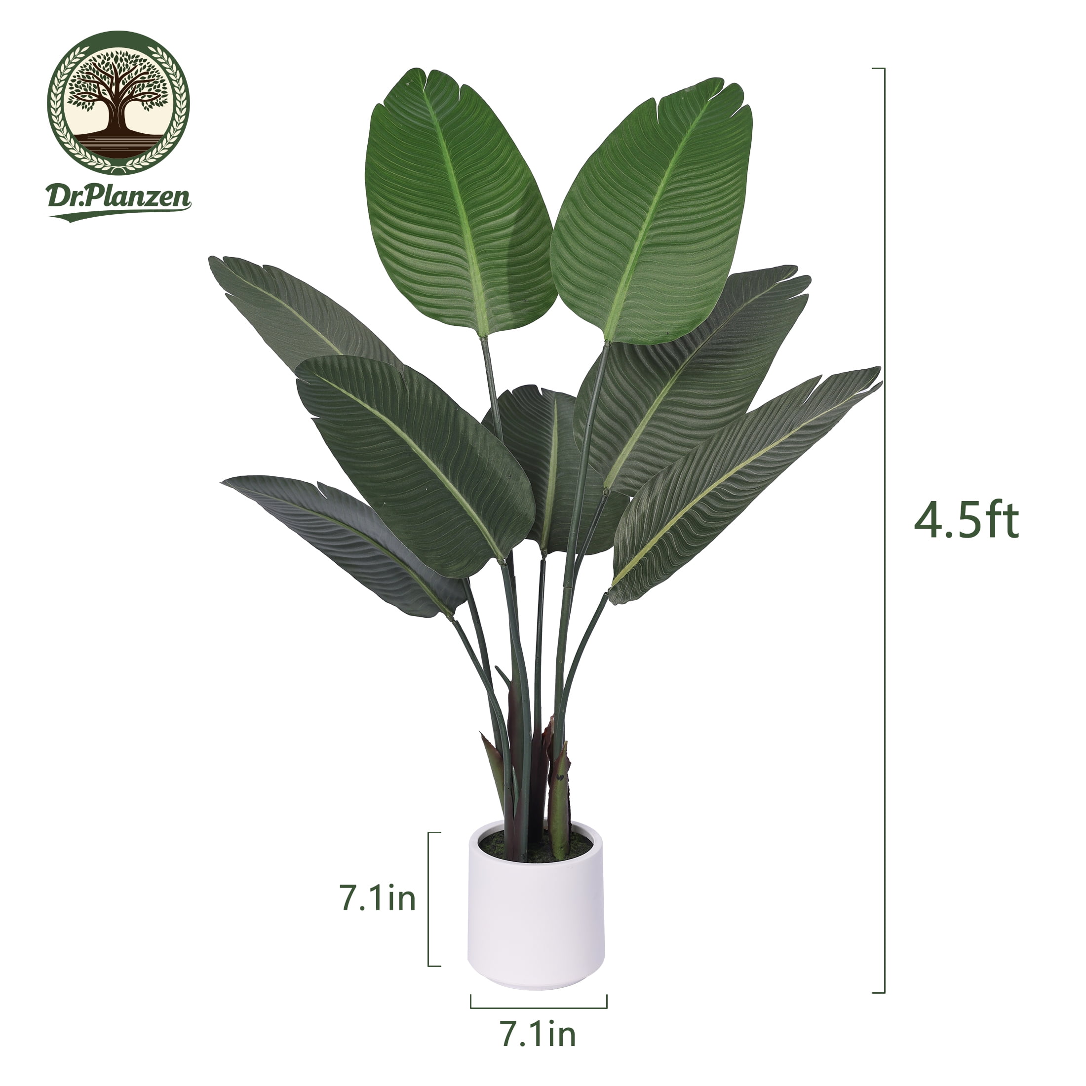 DR.Planzen 4.5ft Artificial Bird Of Paradise Plants with White