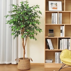 DR.Planzen 5 feet Artificial Ficus Tree, Tall Lifelike Greenery with Natural Wood Trunk for Living Room, office floor and corner decor