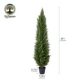 thumbnail image 1 of DR.Planzen 6ft Artificial Cedar Tree with Real Wood Trunk, Faux Silk Plant UV Resistant for Indoor Outdoor, Lifelike Fake Potted Tree for Home Office Decor, 1 of 8