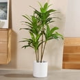 DR.Planzen 4FT Tall Artificial Dracaena Tree, Indoor/Outdoor Faux Tree