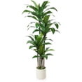 thumbnail image 1 of DR.Planzen Artificial Dracaena Tree 6FT, Faux Tree with White Tall Planter, Fake Tropical Floor Plant, Artificial Silk Tree for Home Office Living Room Decor Indoor, 1 of 8
