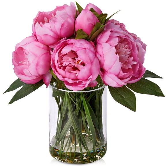DR.Planzen Peach-Red Artificial Peony Plant in Vase, 9 Bloom & 82 Leaves Silk Flower Arrangement with Faux Water, 12 Home Office Table Decor