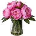 thumbnail image 1 of DR.Planzen Peach-Red Artificial Peony Plant in Vase, 9 Bloom & 82 Leaves Silk Flower Arrangement with Faux Water, 12” Home Office Table Decor, 1 of 6