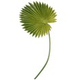 thumbnail image 1 of DRAFIDEEP 1Pcs Artificial Palm Fronds For Decoration In Realistic Style, 1 of 8