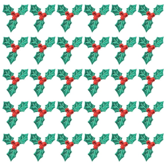 DRAFIDEEP 200Pcs Desktop Ornaments Decorative Holly Leaves Patches Assorted Color For Room Christmas Party Decoration