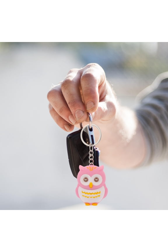 Set of 4 Vivid Owl Keychains Black Plastic Decorative Pendants for Handbags and Keys